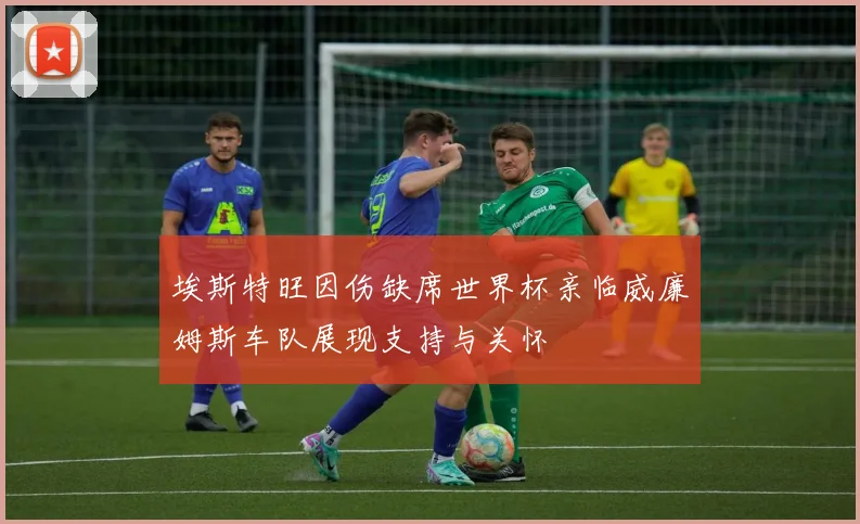 埃斯特旺因伤缺席世界杯亲临威廉姆斯车队展现支持与关怀