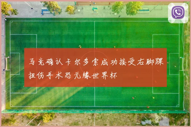 马竞确认卡尔多索成功接受右脚踝扭伤手术恐无缘世界杯