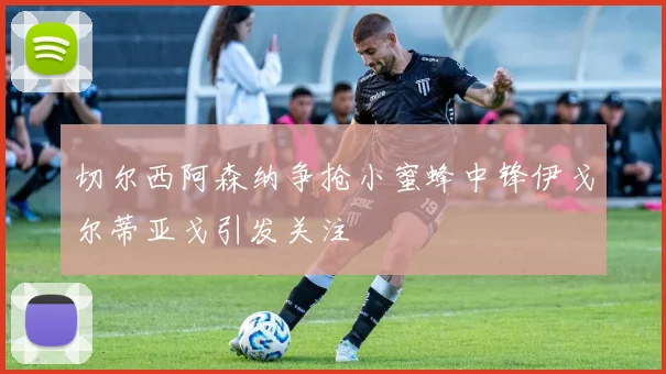 切尔西阿森纳争抢小蜜蜂中锋伊戈尔蒂亚戈引发关注